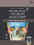 Netter Atlas of HUMAN ANATOMY 8e + Appendix (گلاسه +  اپندیکس) 2022 | اطلس آناتومی نتر ویرایش هشتم  همراه با اپندیکس ( گلاسه )